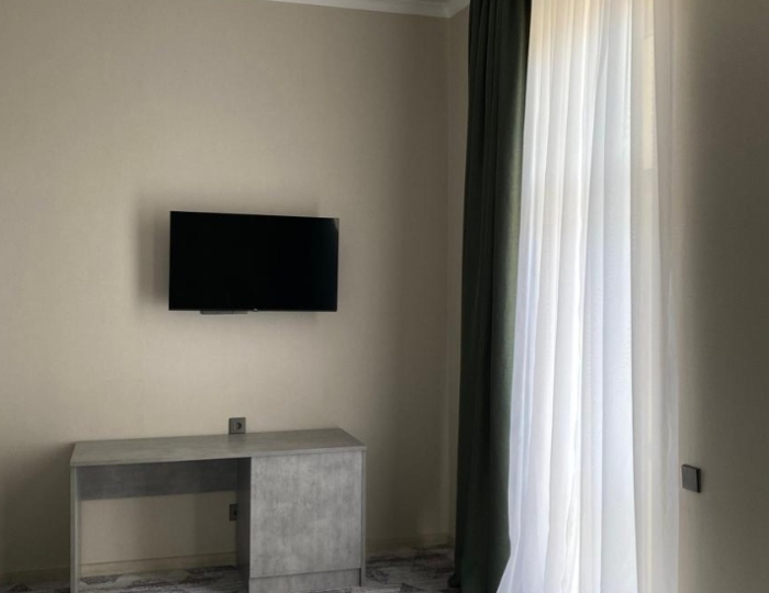 2-местное станд. с балк. (без доп.места) - Отель «Волга» Гудаута